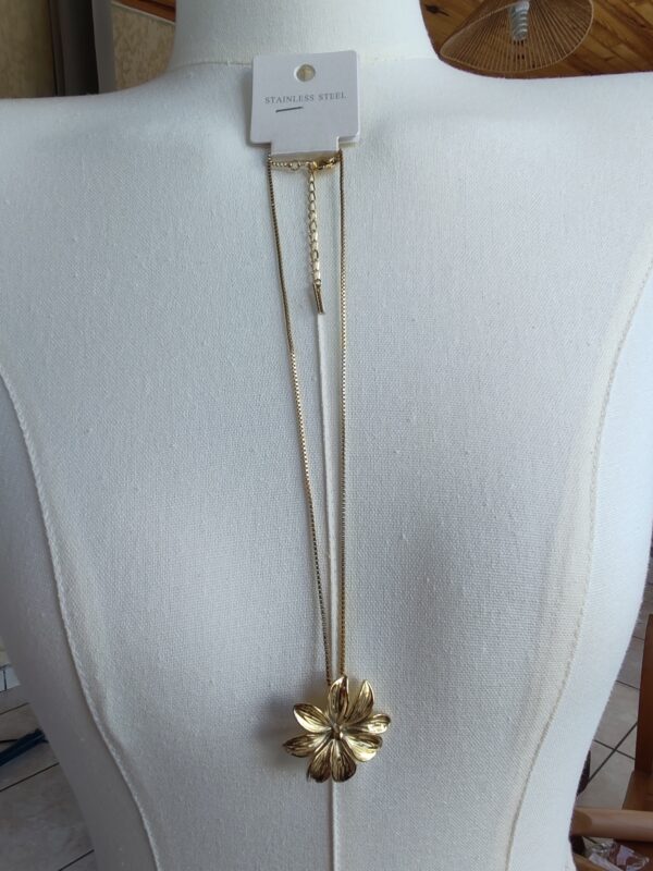 IMG_20260822_111234 Collier Flora