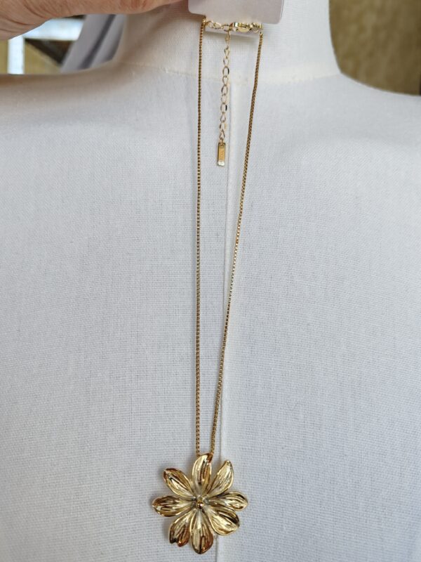 IMG_20260822_111331 Collier Flora