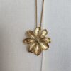 IMG_20260822_111336 Collier Flora