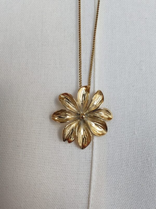 IMG_20260822_111336 Collier Flora